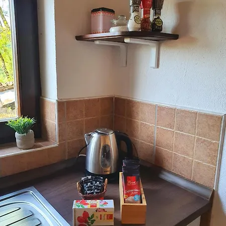 Holiday home Casa Leonarda, Old Authentic Istrian Stone House Near Motovun, Istria
